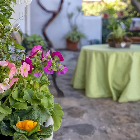 Дом отдыха Lu Nibaru *