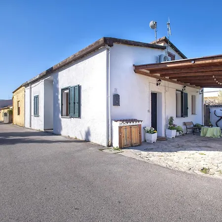 Lu Nibaru * Viddalba